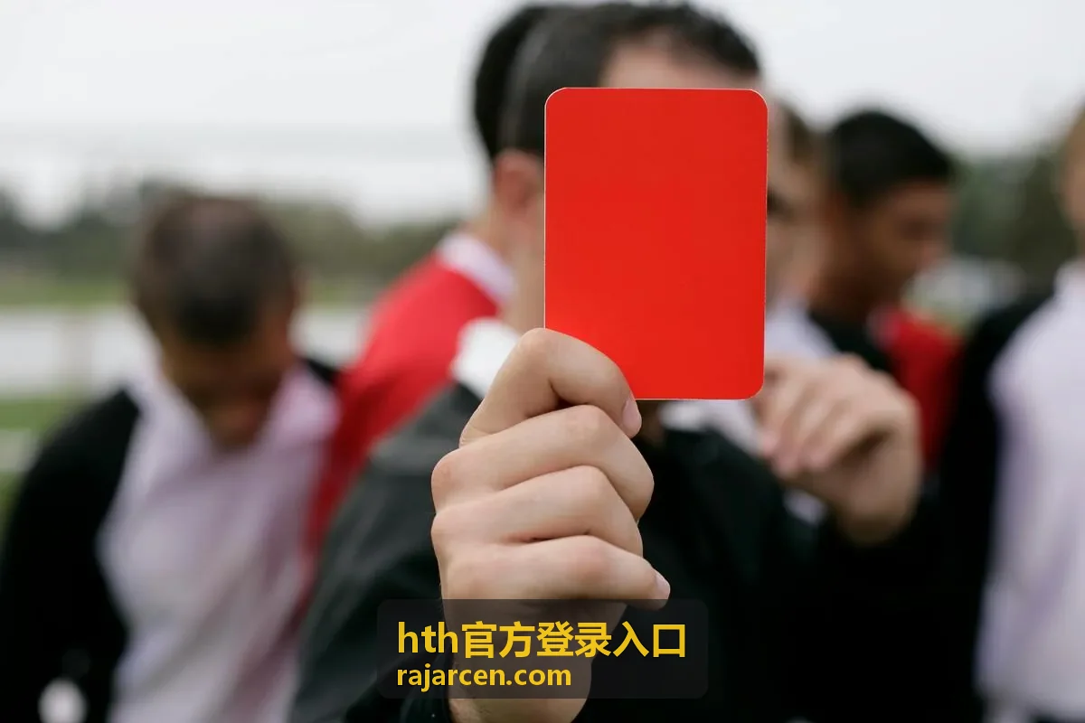 hth官方登录入口人工协助与问题核对示意